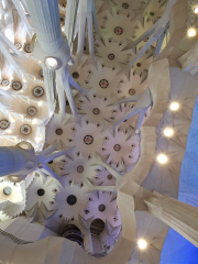Sagrada Familia ceiling