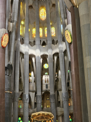 Forest of columns