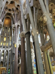 Branching columns