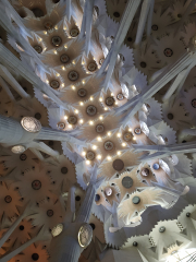 Ceiling