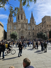 Cathedral de Barcelona