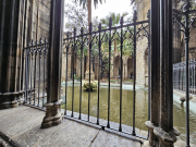 Cathedral Cloister