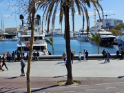 Yachts in the harbor