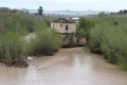Guadalquivir River near flood stage