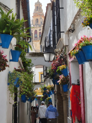 Calle de las Flores with bell tower