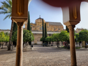 Mezquita courtyard
