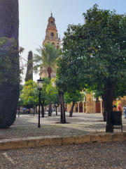 Mezquita courtyard