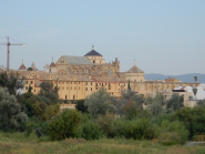 The mezquita from across the river