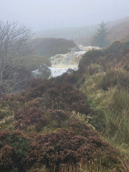 Roaring water rushing downhill in the Wicklow Mountains