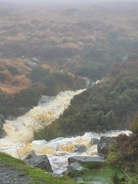 Roaring water rushing downhill in the Wicklow Mountains