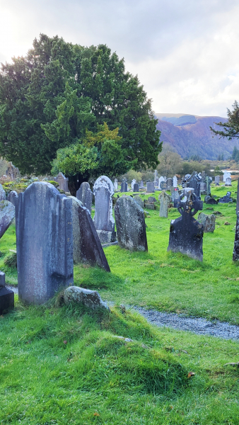 Old gravestones in a green Irish field at Glendalough.