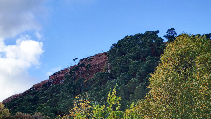 Top of the hill near the upper lake in Glendalough