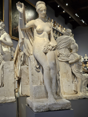 Large Bartoline plaster cast