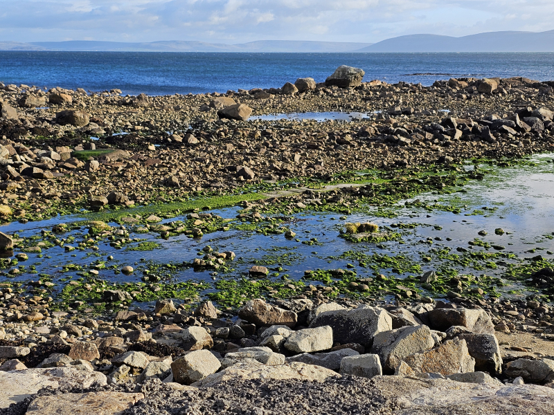 Rocky shoreline at low tide at Spidal