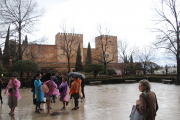 Grounds of the Alhambra with Albaicín in the background