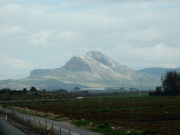 From the bus on the way to Granada
