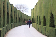 These bushes make a nice visual at the Alhambra on the way to the main buildings