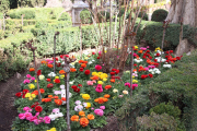 Flower bed in the Alhambra. There were many like this.