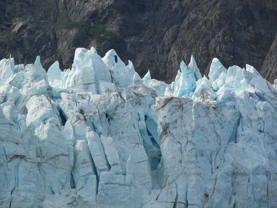 Glacier Bay, 2007