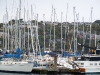 Forest of masts in marina at Kinsale