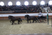 There were 3 carriages weaving intricate patterns--and narrowly avoiding collisions.