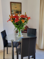 Flowers in our apartment