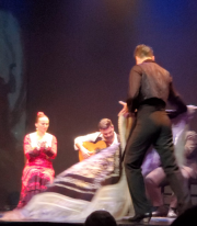 Adrian Santana at Teatro Flamenco