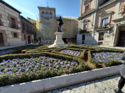 Spring flower bed in Madrid