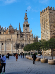 Cathedral of Seville-in sunlight