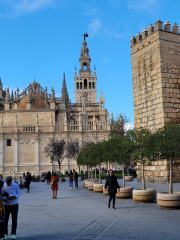 Cathedral of Seville-in sunlight