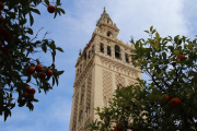 La Giralda from the courtyard of the cathedral