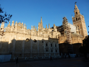 The cathedral in light and shadow. La Giralda doesn't really lean
