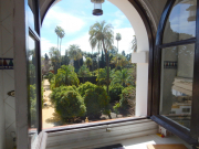 A view of the Royal Alcazar gardens from our kitchen widow