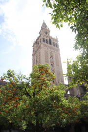 La Giralda, the bell tower