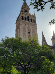 Catedral de Santa María de la Sede