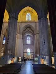 Catedral de Santa María de la Sede