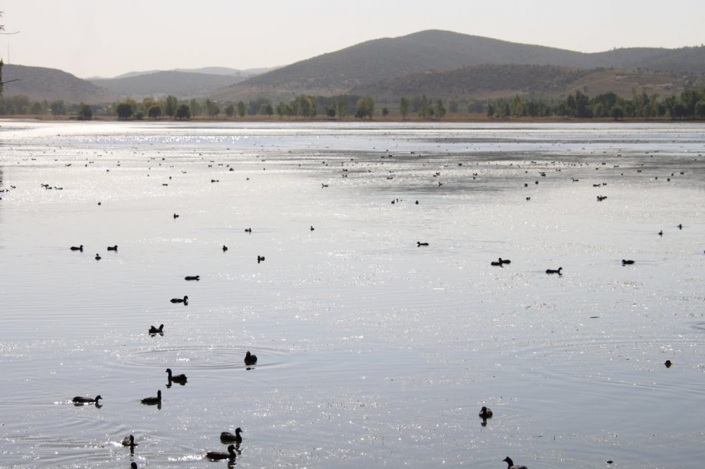 From Fes to Marrakesh and a Day in Marrakesh