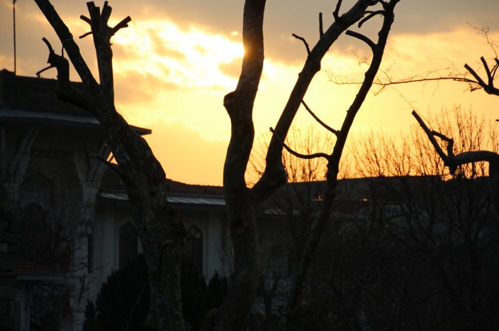 Day 2 of short visit to Istanbul