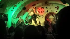 Flamenco show