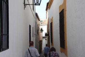 Labyrinth of narrow streets