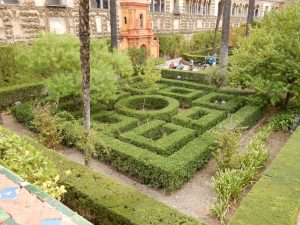 Topiary in the Real Alcazar