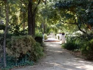 Path with fountains in Parque Maria Louisa