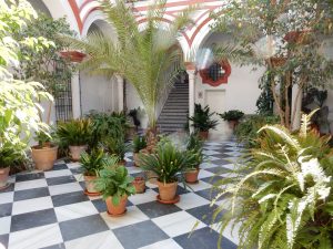 Courtyard at our apartment on San Isodora in Sevilla