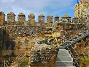 Walls of Alcázar de la Puerta de Seville