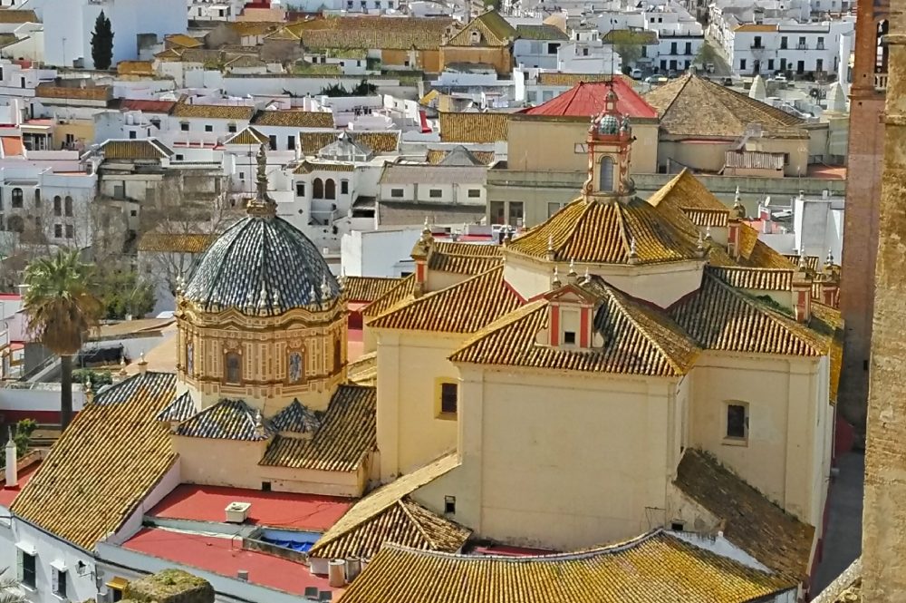 03/06 Monday Olive Oil Tasting and Carmona