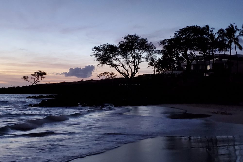 Kohala Coast and Hilo (Mon, 27; Tue 28)