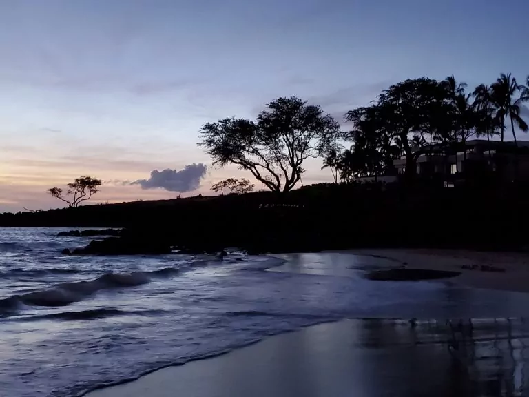 Kohala Coast and Hilo (Mon, 27; Tue 28)