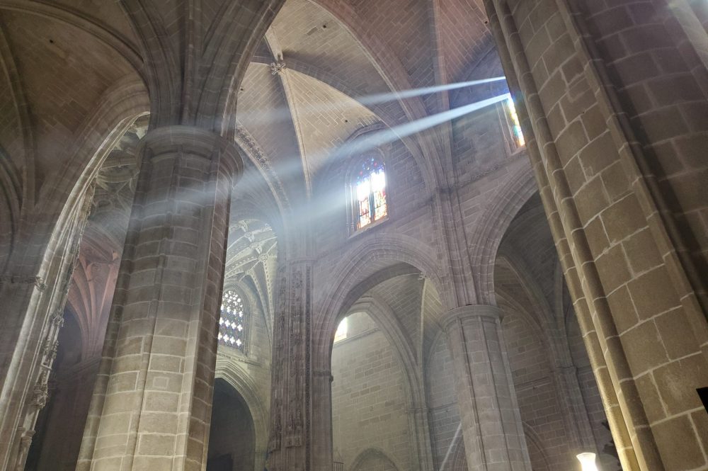 02/26 Wednesday A nice walk and a stinker of a show