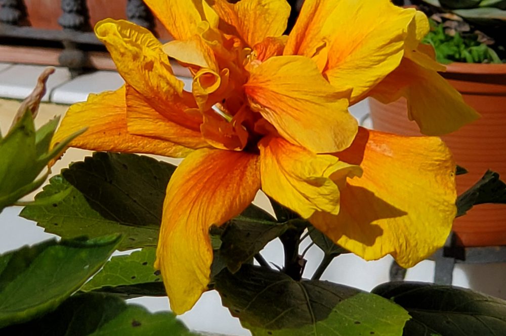 02/27 Thursday Could we please make the days a little longer?