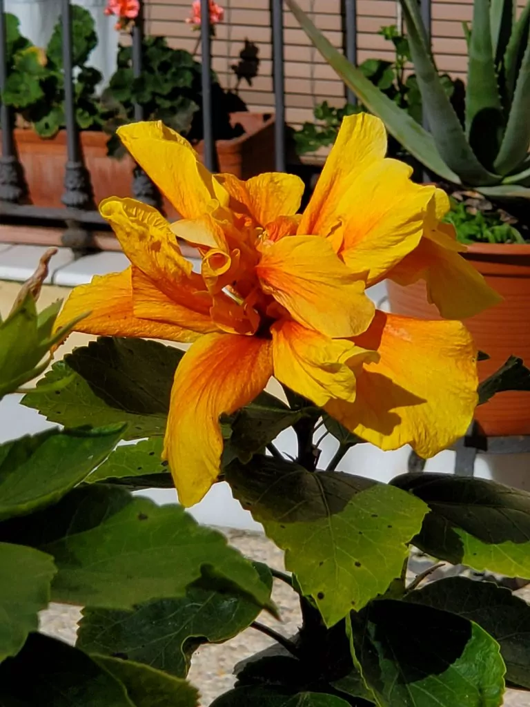 02/27 Thursday Could we please make the days a little longer?